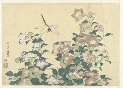 Balónový zvonek a vážka od Katsushika Hokusai