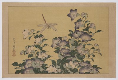 Zvonek a vážka (barevný dřevotisk) od Katsushika Hokusai