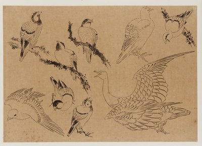Ptáci, období Edo, konec 18.-začátek 19. století. od Katsushika Hokusai