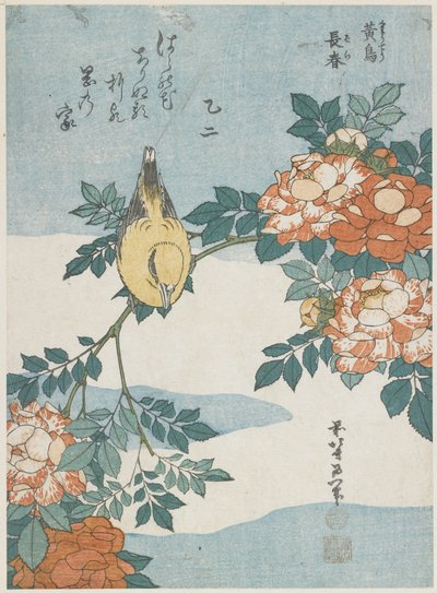 Oriole černohlavá a čínská růže, c. 1833 od Katsushika Hokusai
