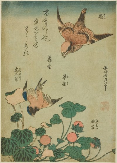 Ťuhýk obecný a modrásek s lomikámenem a lesními jahodami (Mozu, ruri, yukinoshita, hebi-ichigo), z nepojmenované série květin a ptáků od Katsushika Hokusai
