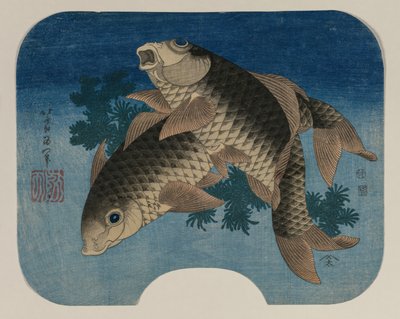 Plavání kaprů vodními plevely od Katsushika Hokusai