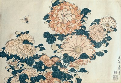 Chryzantémy (barevný dřevotisk) od Katsushika Hokusai