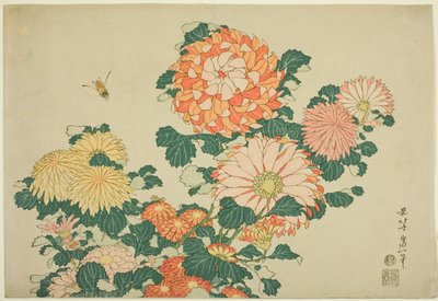 Chryzantémy a včela z nepojmenované série Velkých květin od Katsushika Hokusai