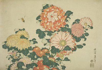 Chryzantémy a včela, z nepojmenované série Velkých květů, cca 1833-34 od Katsushika Hokusai