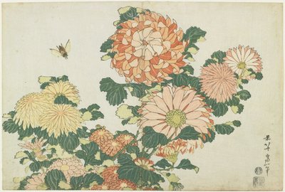 Chryzantémy a koňská muška, c. 1832 od Katsushika Hokusai