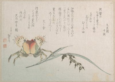 Závod na zpracování krabů a rýže od Katsushika Hokusai