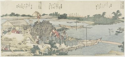 Crane and Pine Field v Shirahige, Taya at Hashiba, 1775-1849 od Katsushika Hokusai