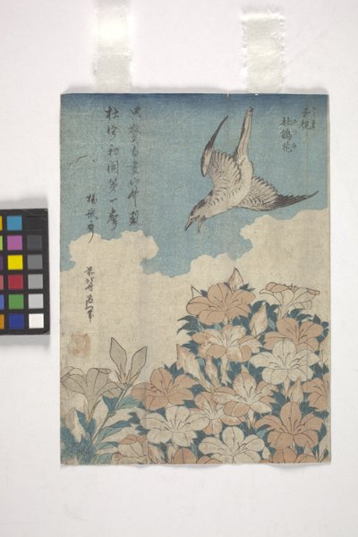 Kukačka a azalka (barevný dřevoryt) od Katsushika Hokusai