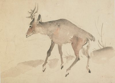 Jelen, konec 18.-začátek 19. století. od Katsushika Hokusai