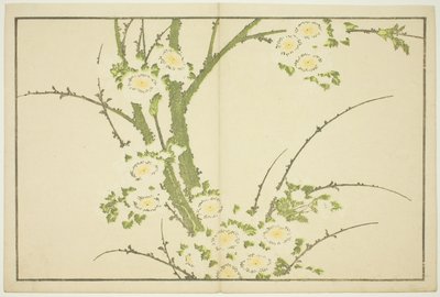 Květiny, z Obrázkové knihy realistických obrazů Hokusai (Hokusai shashin gafu) od Katsushika Hokusai