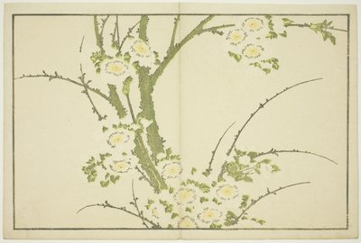 Květiny, z Hokusaiovy knihy realistických obrazů (Hokusai shashin gafu), asi 1814 (barevný dřevoryt (albový list)) od Katsushika Hokusai