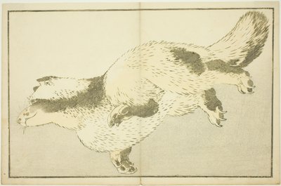 Fox, z Obrázkové knihy realistických obrazů Hokusai (Hokusai shashin gafu) od Katsushika Hokusai