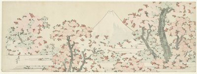 Fuji over Cherry Blossom, cca 1800-1805 (dřevořez) od Katsushika Hokusai