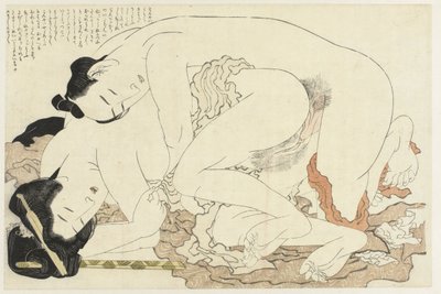Vdaná žena s milencem Rostlina Adonis (název série) Fukujuso (název série) od Katsushika Hokusai