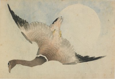 Husa letící před měsícem, konec 18.-začátek 19. století. od Katsushika Hokusai