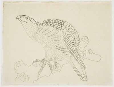 Jestřáb na větvi (studie) od Katsushika Hokusai