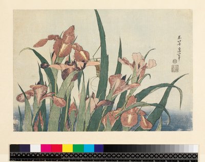 Kosatce a kobylka, hospoda. od Nishimura Eijudo, kolem 1832, (yoko-e - horizontální formát, barevný dřevotisk) od Katsushika Hokusai