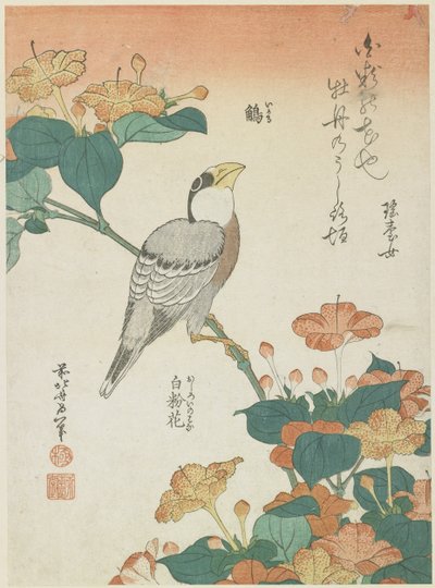 Japonský dlask a čtyřzubec, asi 1833 od Katsushika Hokusai