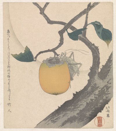 Kaki ovoce s kobylkou od Katsushika Hokusai