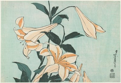 Lilie od Katsushika Hokusai