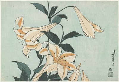 Lilie, c. 1832 od Katsushika Hokusai
