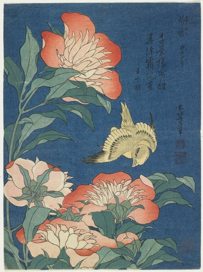 Pivoňky a Kanárské ostrovy, c. 1833 od Katsushika Hokusai