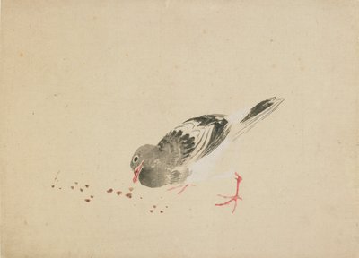 Holub, konec 18.-začátek 19. století. od Katsushika Hokusai