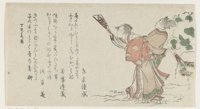 Plucker hraje muže a ženu od Katsushika Hokusai