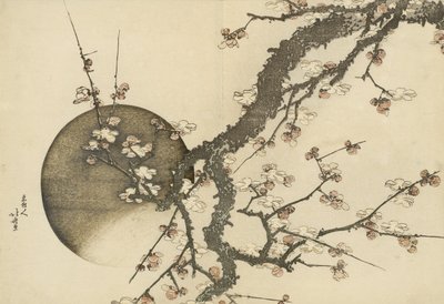 Švestkový květ a měsíc z knihy Hora Fuji na jaře od Katsushika Hokusai