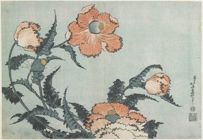 Mák, c. 1832 od Katsushika Hokusai