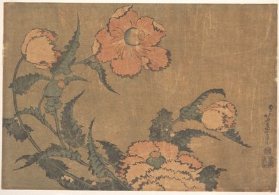 Máky ve větru od Katsushika Hokusai