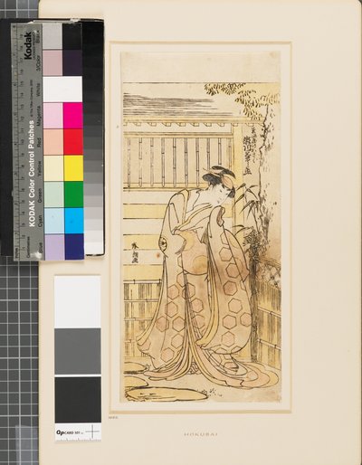 Segawa Kikinojō před domem v roli kurtizány Hoso-ya od Katsushika Hokusai