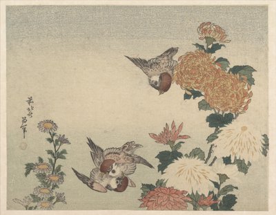 Vrabci a chryzantémy od Katsushika Hokusai