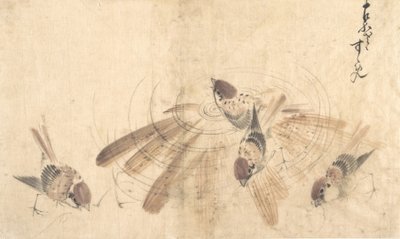 Vrabci, ca. 1825. od Katsushika Hokusai