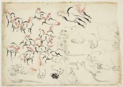 Studie koní, koček a krys (od "Hokusai Manga"), cca 1815-1849 (inkoust a barva na papíře) od Katsushika Hokusai