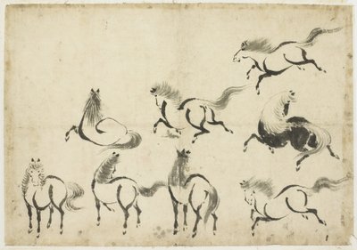 Studia koní, c.1815-1849 (inkoust na papíře) od Katsushika Hokusai