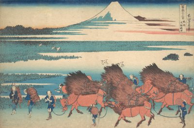 Nová pole v Ono v provincii Suruga Sunshu Ono shinden, ze série Thir..., ca. 1830-32. od Katsushika Hokusai