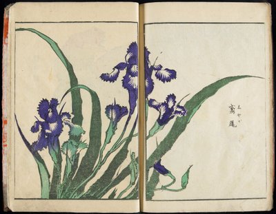 Zprostředkování ducha a odhalení podoby věcí: Hokusaiova Zahrada obrazů, svazek 1 – kompletní vydání od Katsushika Hokusai