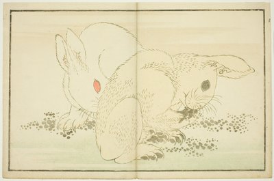 Dva králíci z Obrázkové knihy realistických obrazů Hokusai (Hokusai shashin gafu) od Katsushika Hokusai