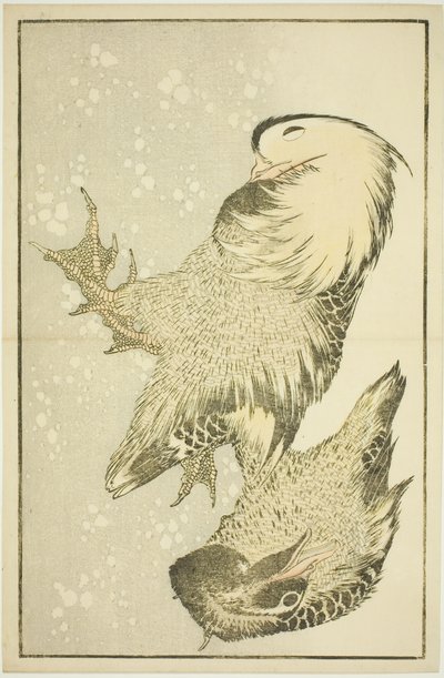 Dva vodní ptactvo, z Obrázkové knihy realistických obrazů Hokusai (Hokusai shashin gafu) od Katsushika Hokusai