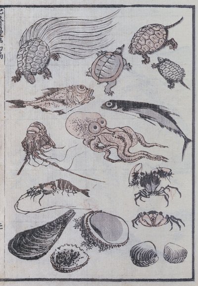 Podmořští tvorové z mangy (barevný dřevotisk) od Katsushika Hokusai