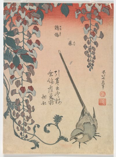 Konipas a vistárie, období Edo, 1834 (barevný dřevotisk) od Katsushika Hokusai