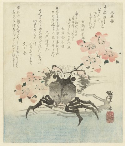 Krab s třešňovým květem od Katsushika Taito II