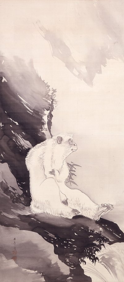 Bílá opice (inkoust na hedvábí) od Kawabata Gyokushō
