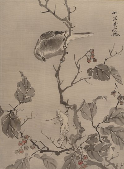 Pták a žába, ca. 1887. od Kawanabe Kyosai