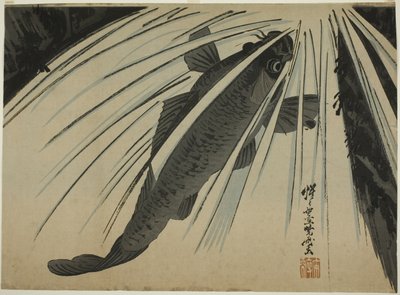 Kapři stoupající vodopády od Kawanabe Kyosai