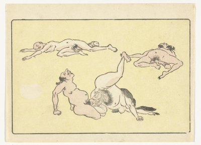 Kopulující muž a žena The Big Tail (název série) od Kawanabe Kyosai
