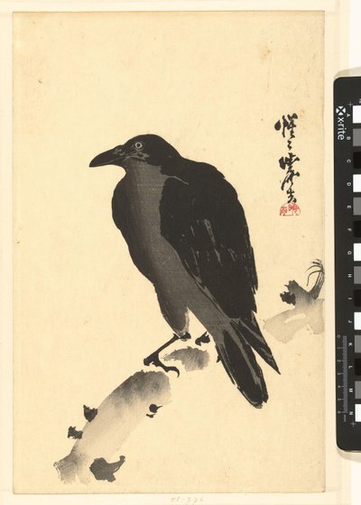 Vrána na kmen stromu od Kawanabe Kyosai