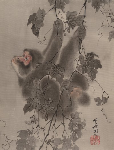 Opice visící z vinné révy, ca. 1887. od Kawanabe Kyosai
